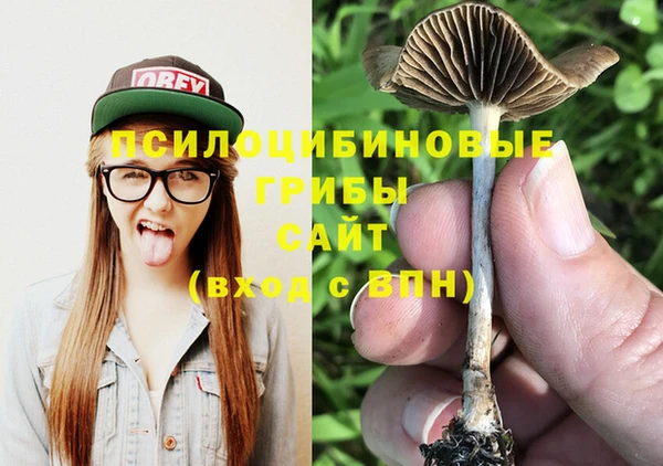 гидропоника Балабаново